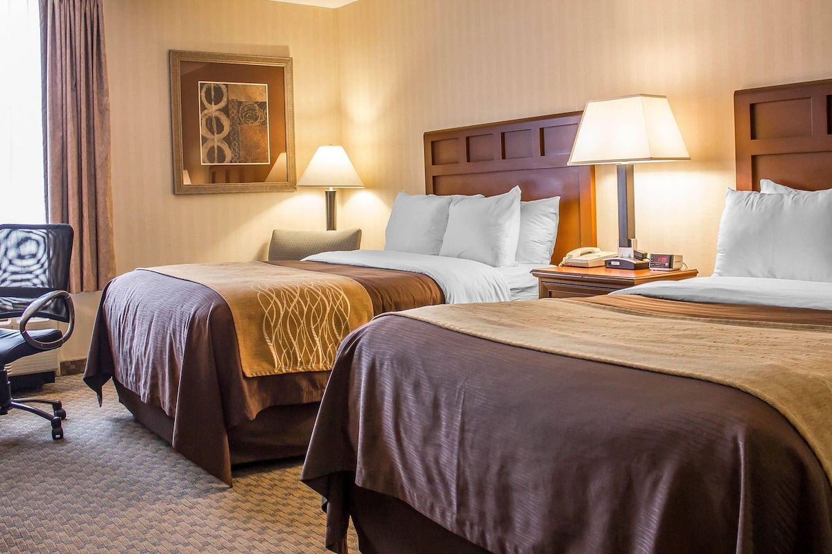 Standard Double Room, 2 Double Beds, Non Smoking | Hypo-allergenic bedding, desk, laptop workspace, blackout curtains