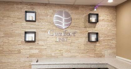 Comfort Inn Wethersfield - Hartford