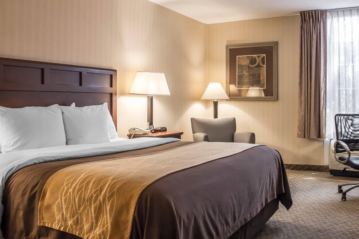 Hypo-allergenic bedding, desk, laptop workspace, blackout curtains