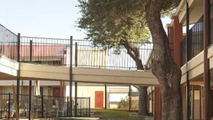 A courtyard with picnic tables, a large tree, and a building with balconies. - Super 8 by Wyndham Kerrville TX (Kerrville)