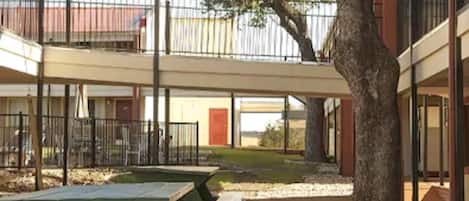 A courtyard with picnic tables, a large tree, and a building with balconies.