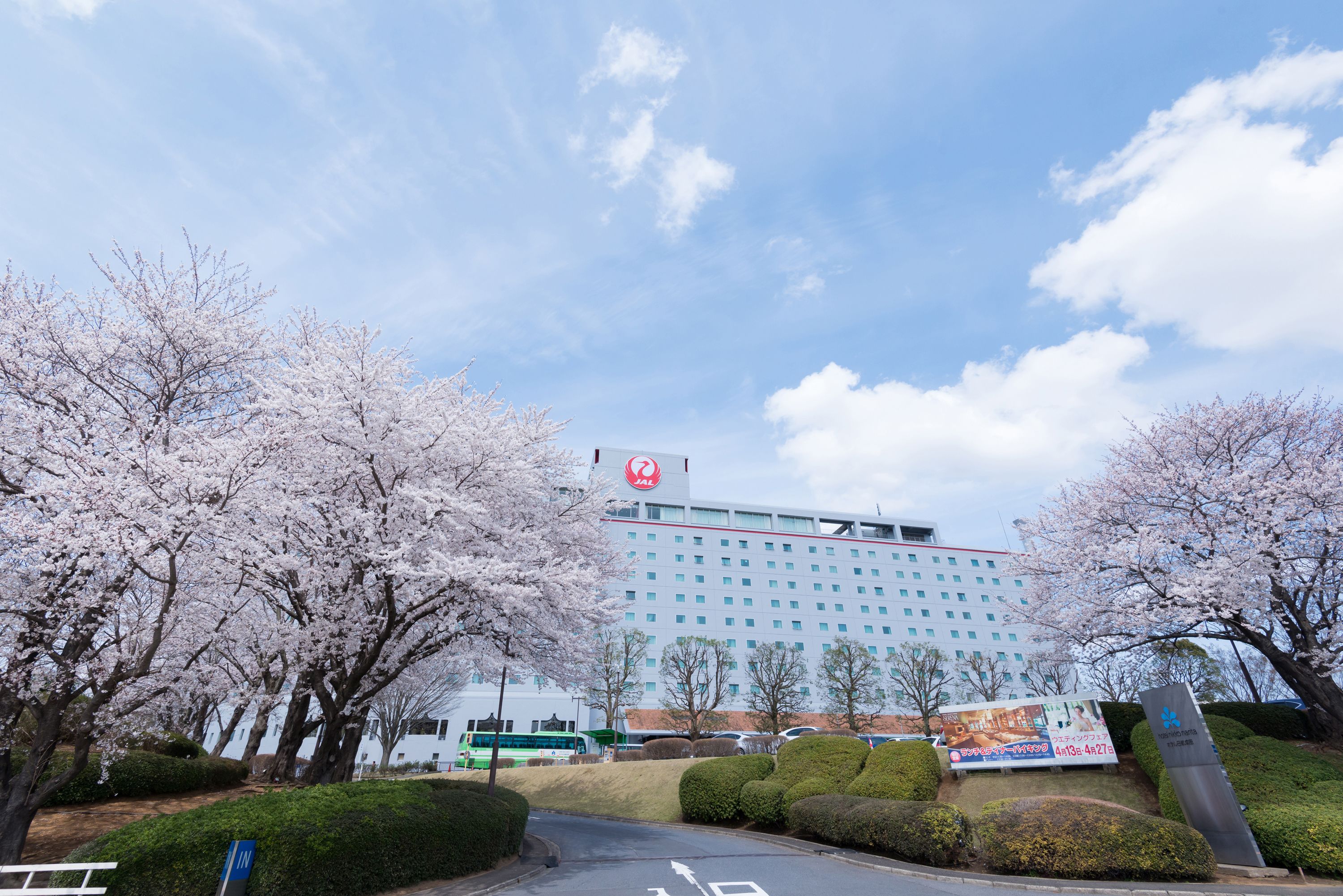 A hotel with a large building, cherry blossom trees, and a parking area.