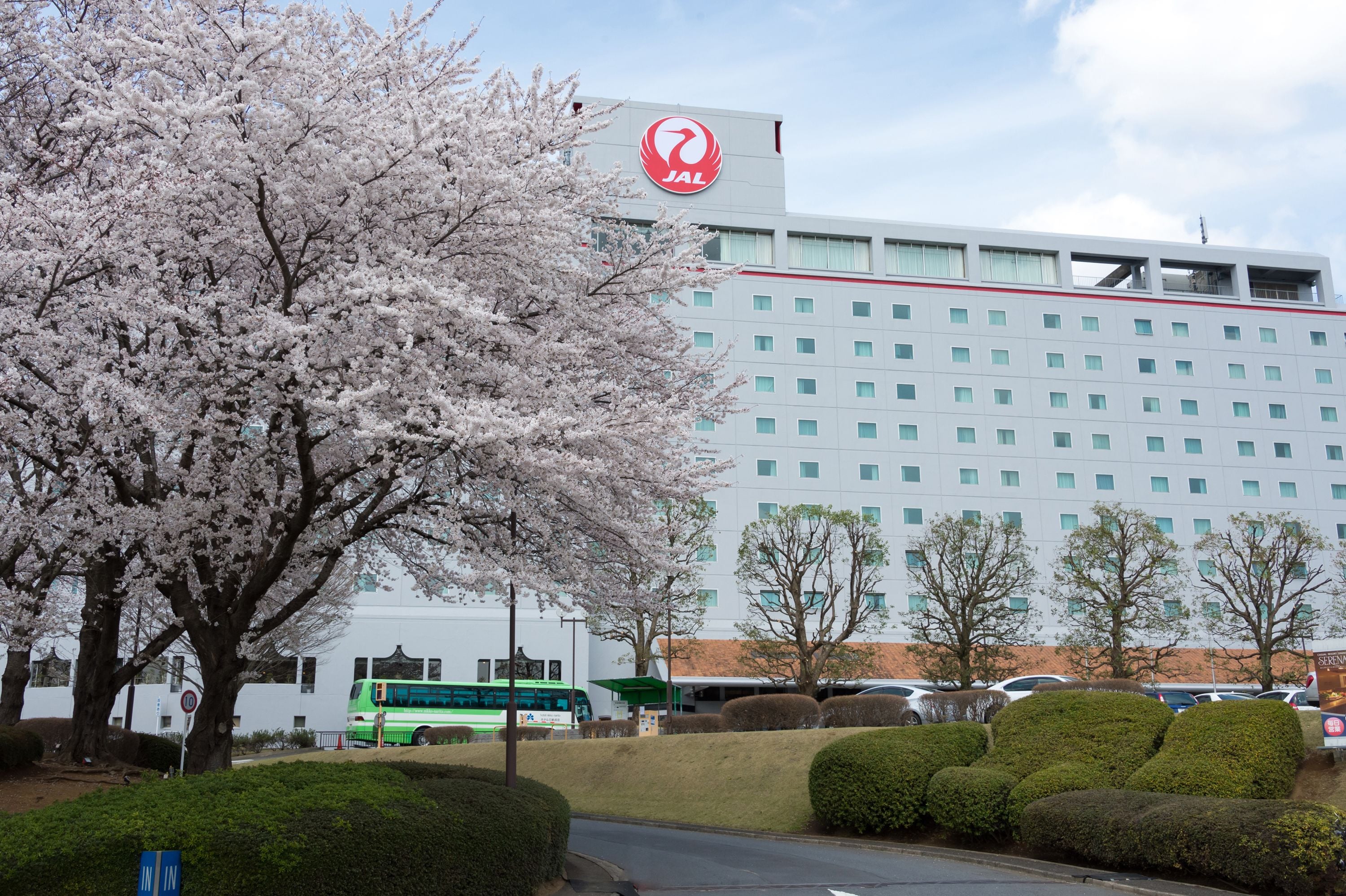 A hotel with a prominent JAL logo, surrounded by cherry blossom trees and a green bus in the parking area.
