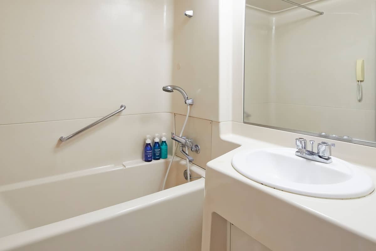 combined shower/bathtub, eco-friendly toiletries, hair dryer, slippers