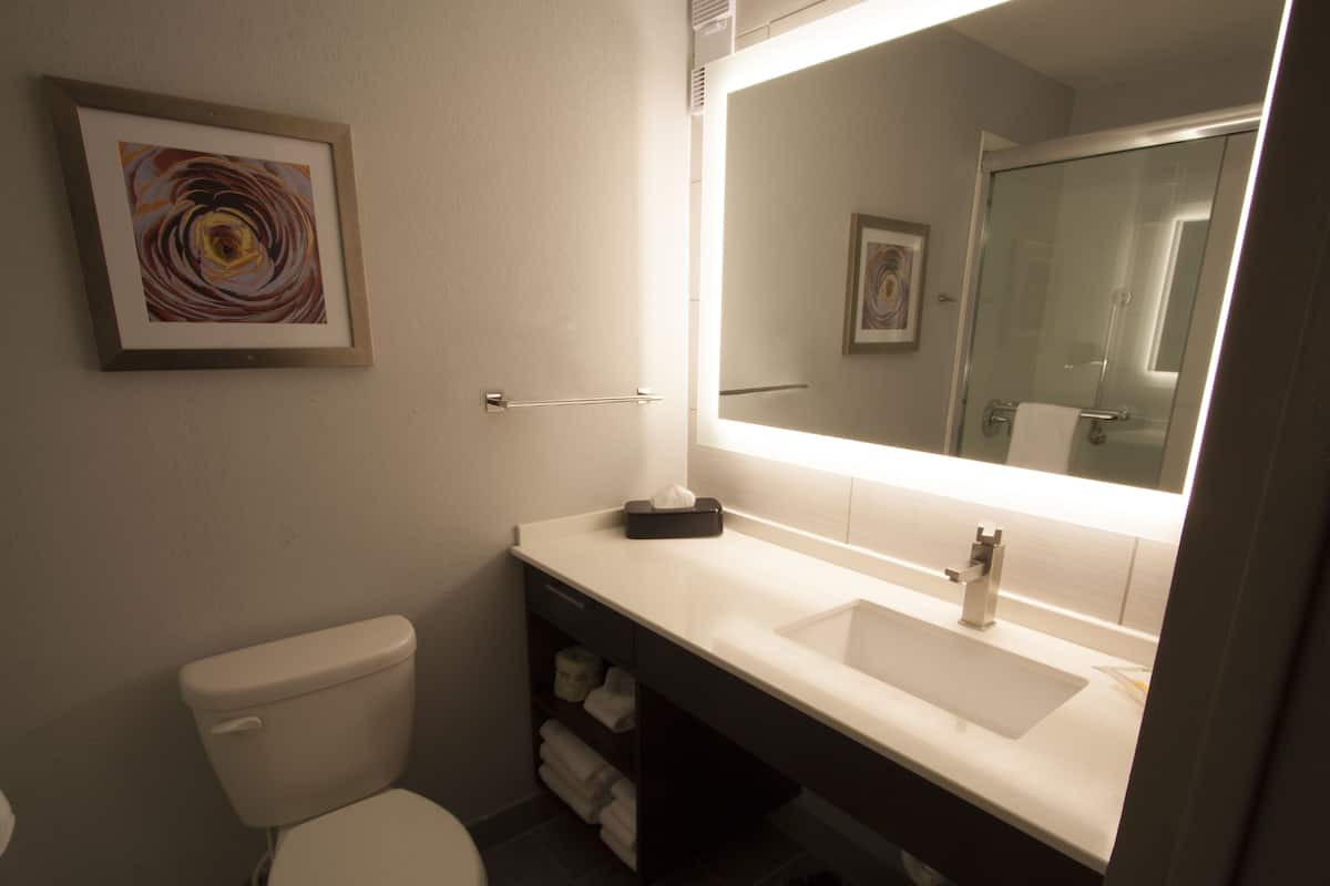 combined shower/bathtub, hair dryer, towels