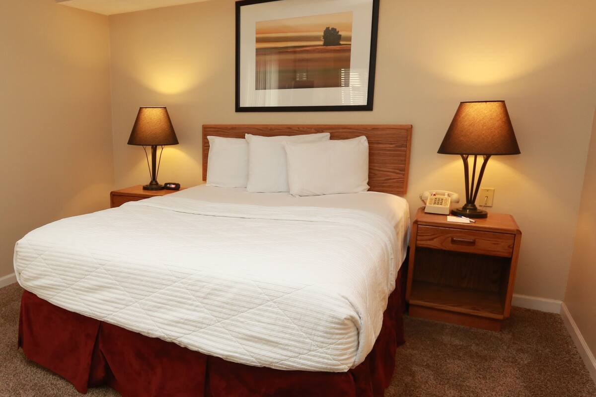 Standard Studio Suite, 1 Double Bed | Pillow-top beds, desk, iron/ironing board, free WiFi