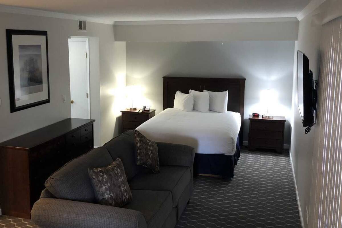 Premium Studio Suite, 1 Double Bed (No Pets) | Pillow-top beds, desk, iron/ironing board, free WiFi