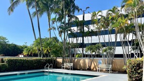 Una piscina con sillas de descanso y palmeras.