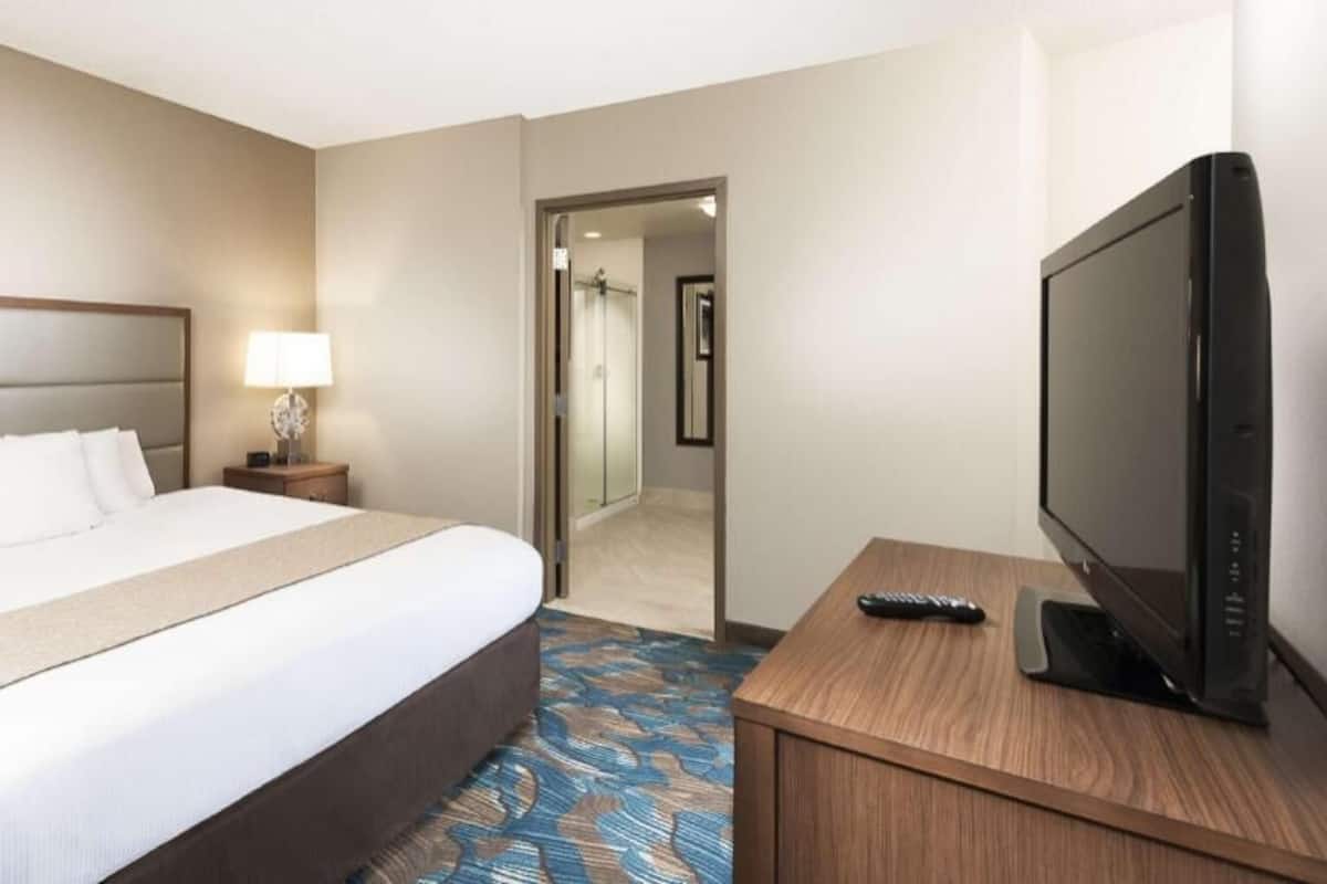 Una habitación de hotel con una cama grande, una mesita de noche con lámpara, un televisor sobre un soporte de madera y una zona de ducha visible a través de una puerta de cristal.