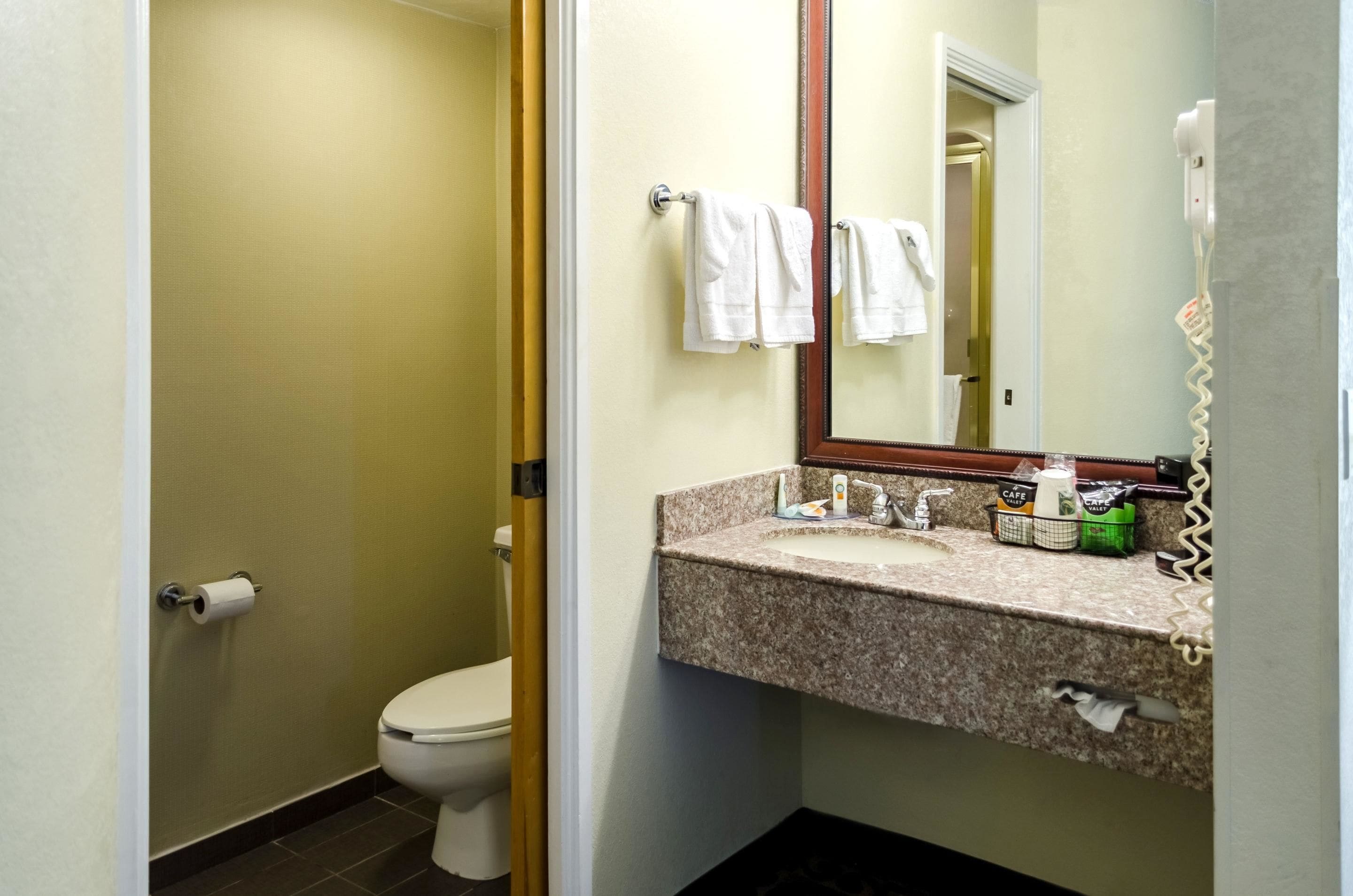 Un bagno con il water, un lavandino con articoli da toilette e uno specchio.