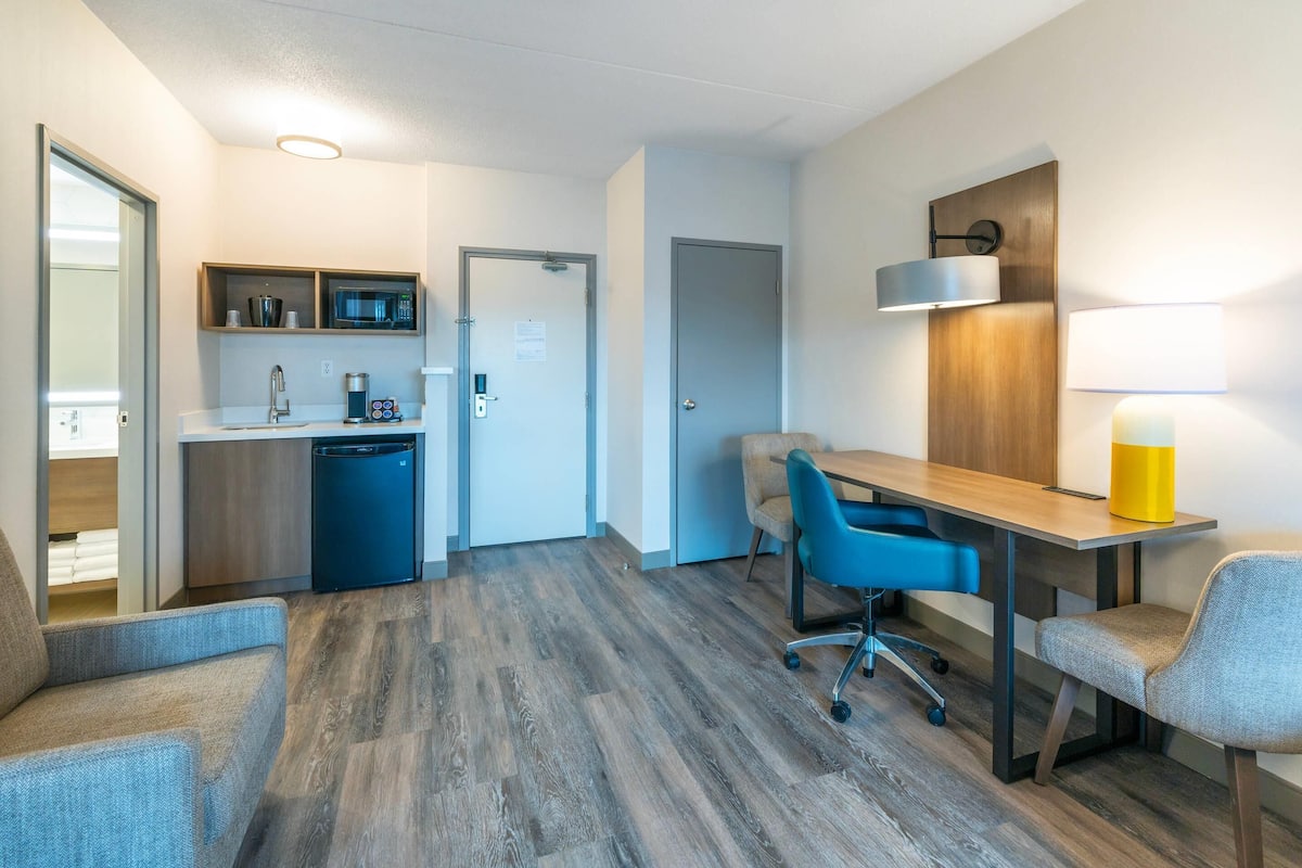 Suite, 1 habitación, para no fumadores (Master, 1 King Bed, 2-person Sofa Bed) | 1 habitación, ropa de cama hipoalergénica y escritorio