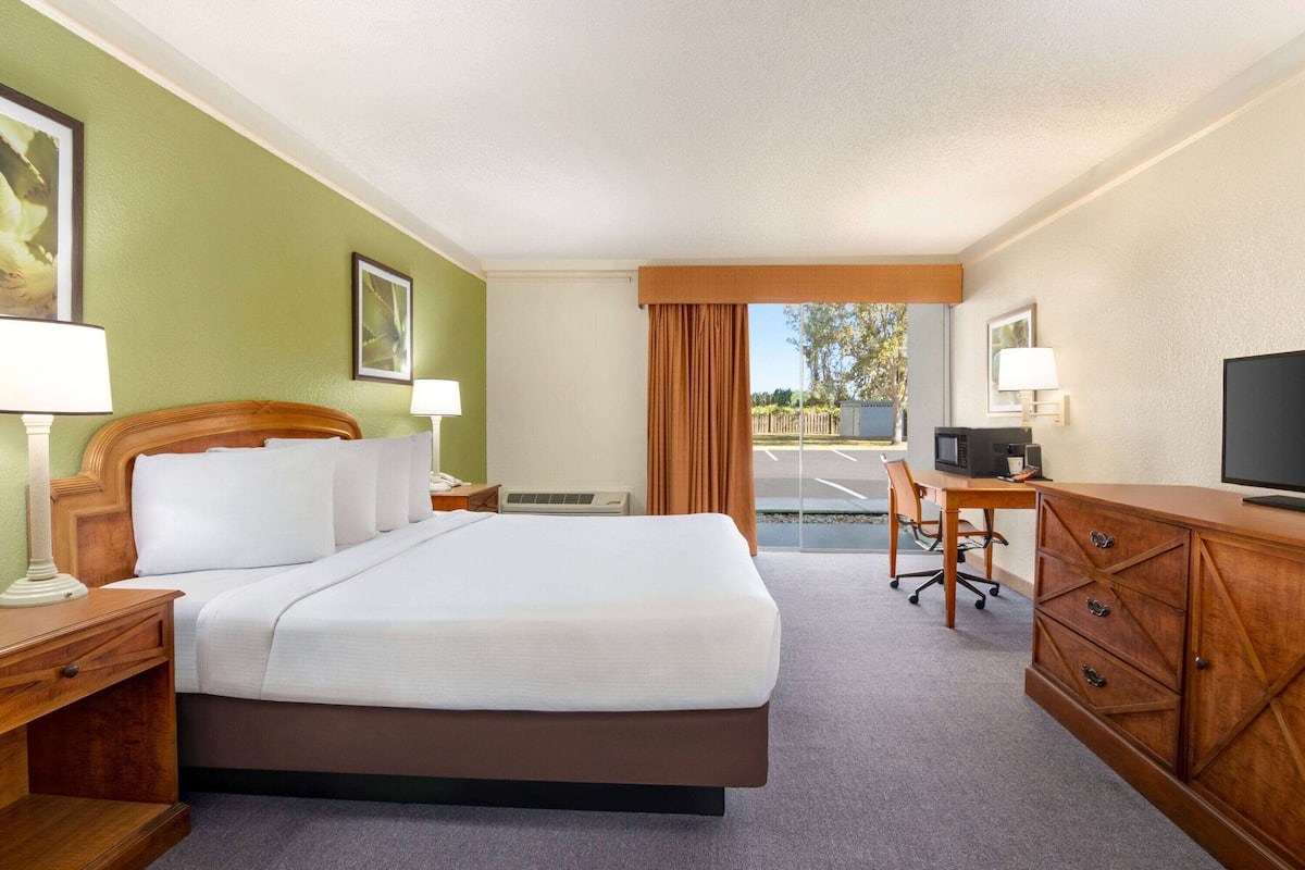 A hotel room with a large bed, a desk, a television, and a view of the outside.