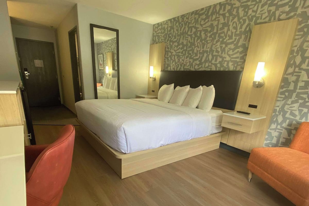 Standard Room, 1 King Bed, Non Smoking (Walk-in Shower;Pet Friendly) | Pillow-top beds, desk, laptop workspace, blackout curtains