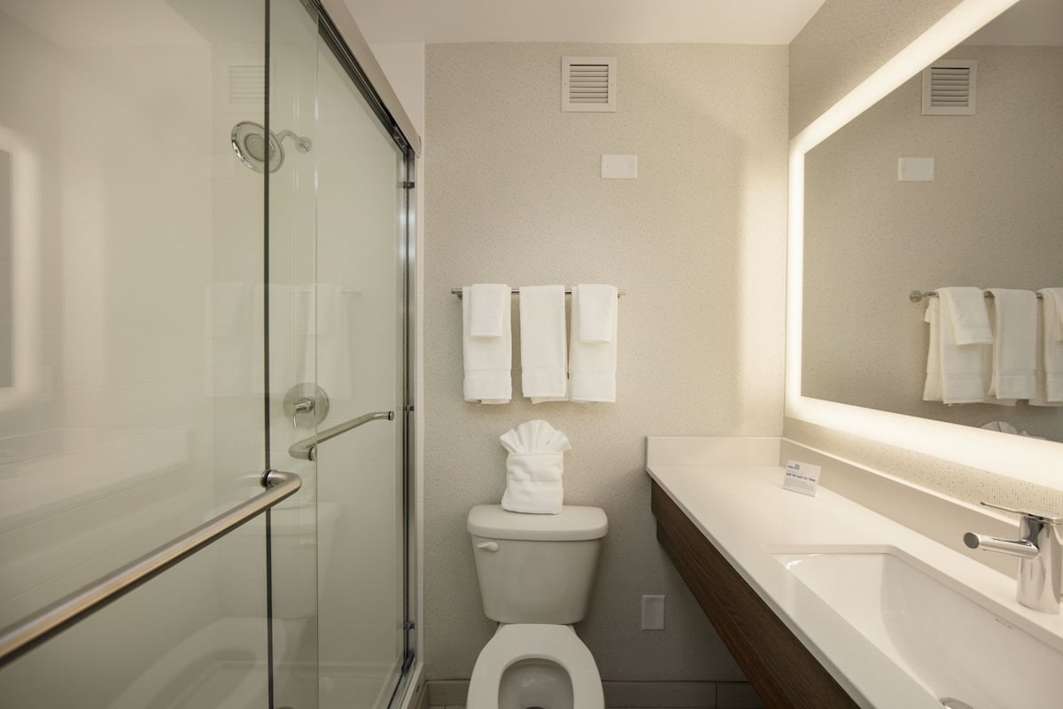 combined shower/bathtub, designer toiletries, hair dryer, towels