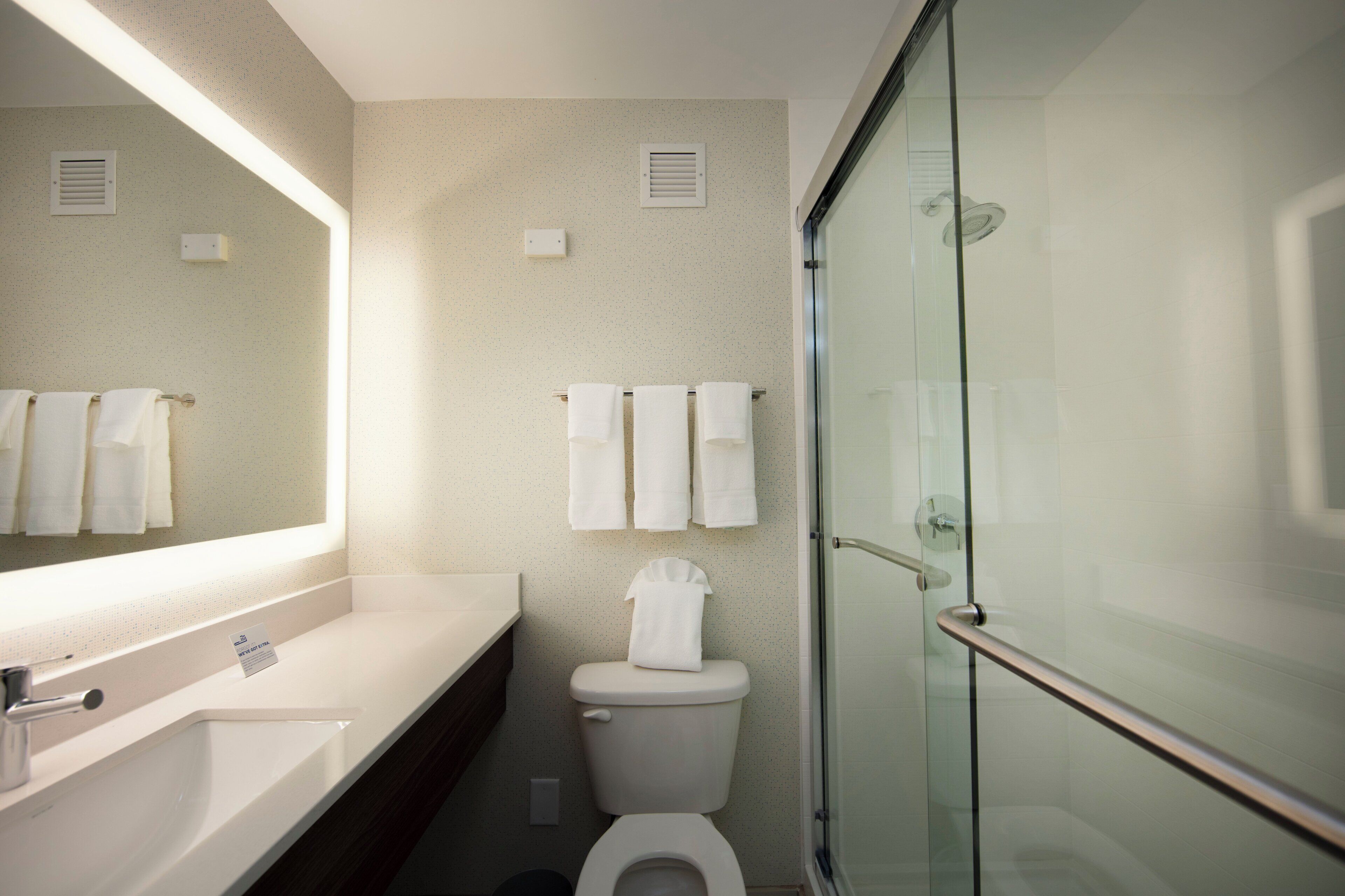 A modern bathroom with a glass shower enclosure, a white sink, and a toilet.