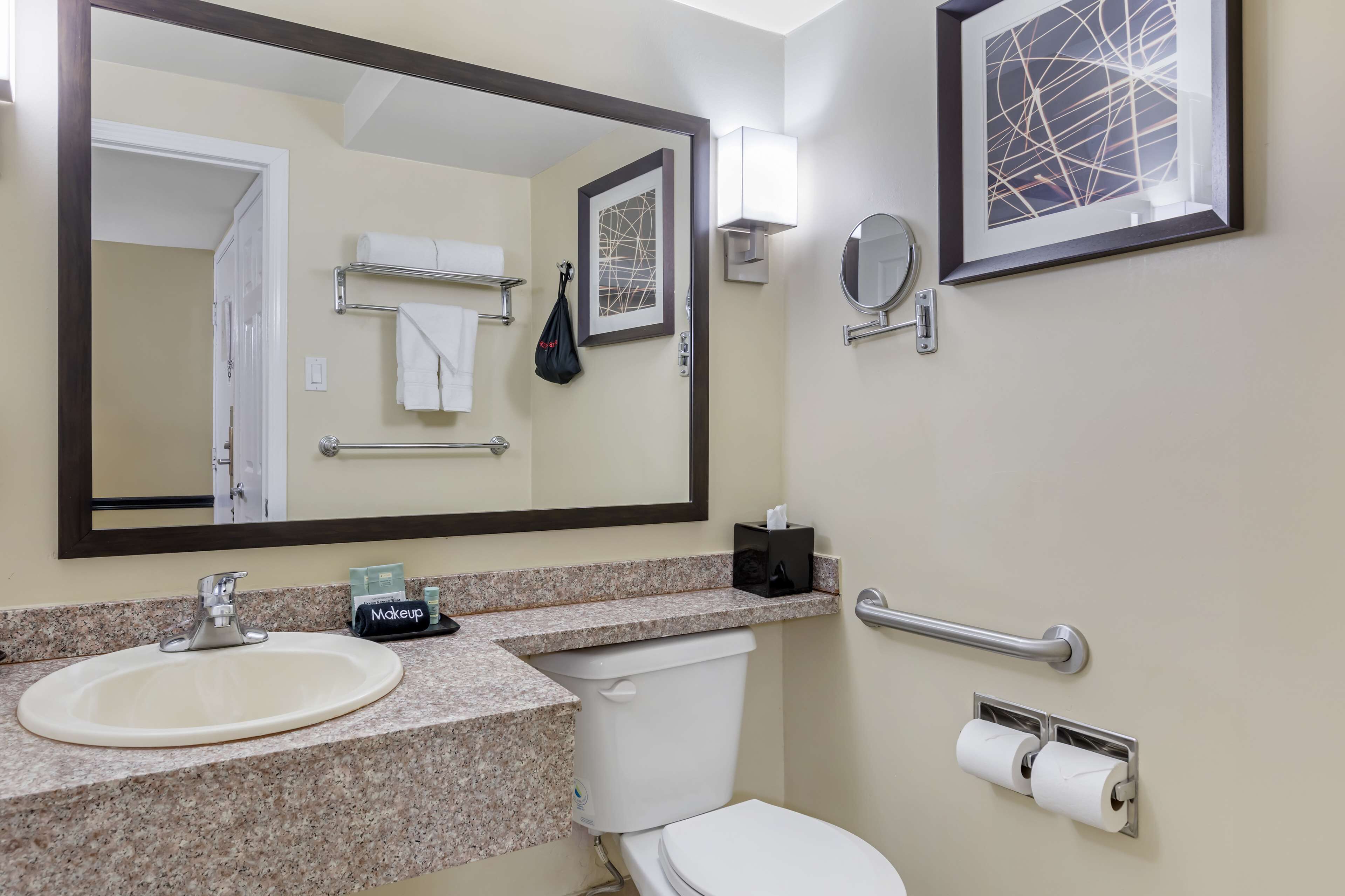 standard room, 1 king bed, accessible, bathtub | bathroom | combined shower/bathtub, deep-soaking bathtub, hydromassage showerhead