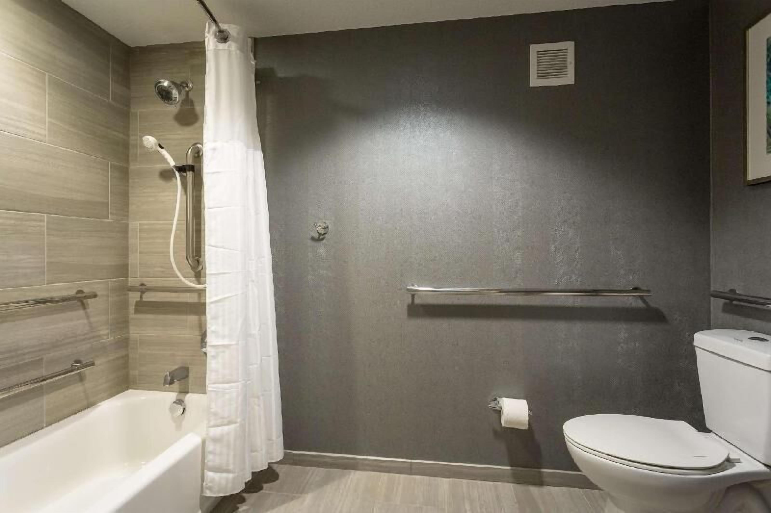 Bathroom | Combined shower/tub, free toiletries, hair dryer, towels