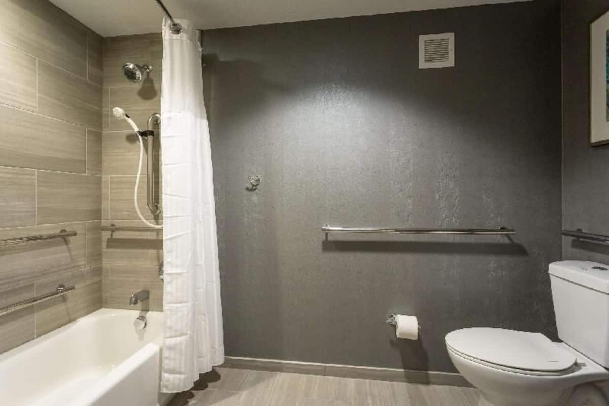 Bathroom | Combined shower/tub, free toiletries, hair dryer, towels