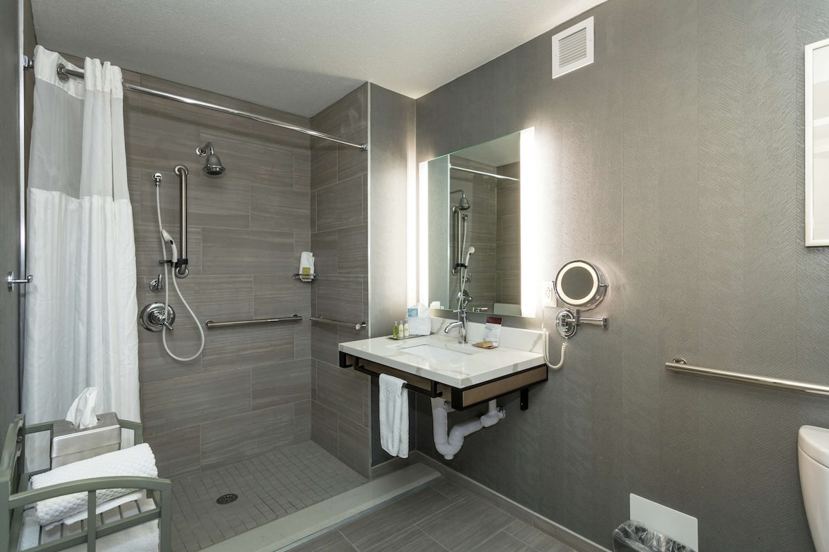 room, 1 king bed, accessible, non smoking (rollin shower & hearing) | bathroom shower