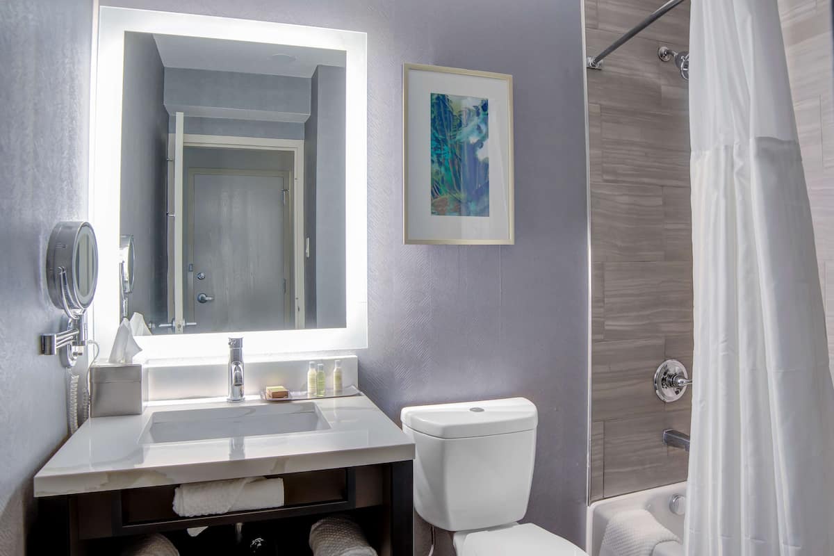 combined shower/bathtub, free toiletries, hair dryer, towels