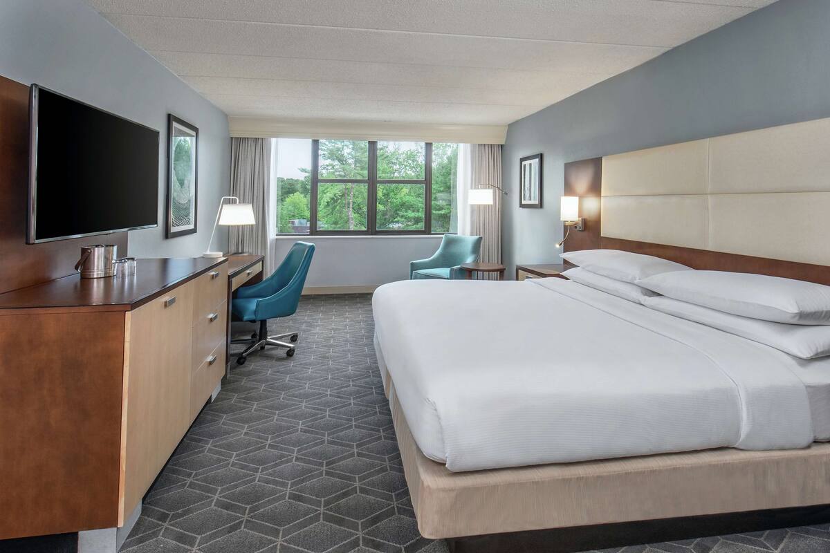 Quarto de hotel com uma cama grande, uma escrivaninha com televisão de tela plana, uma cadeira e janela com vista para árvores.