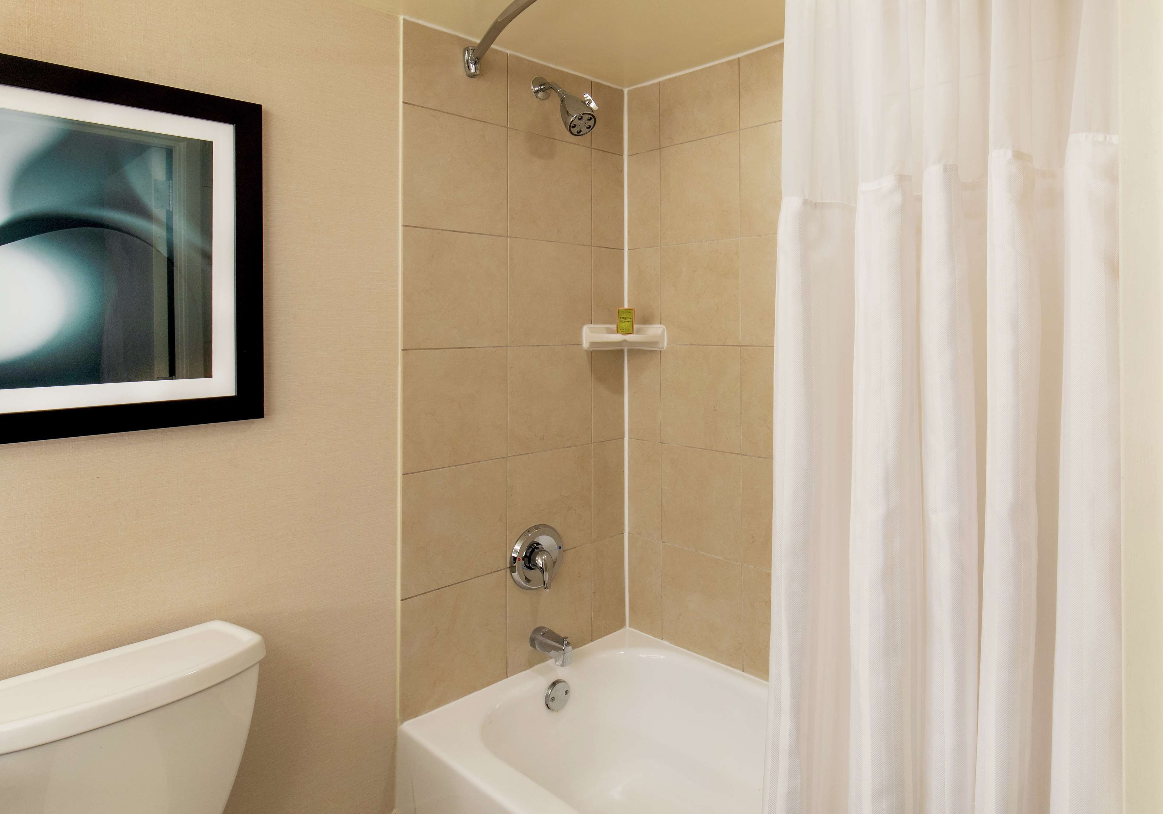 A bathroom with a bathtub, shower, toilet, and a framed abstract artwork on the wall.