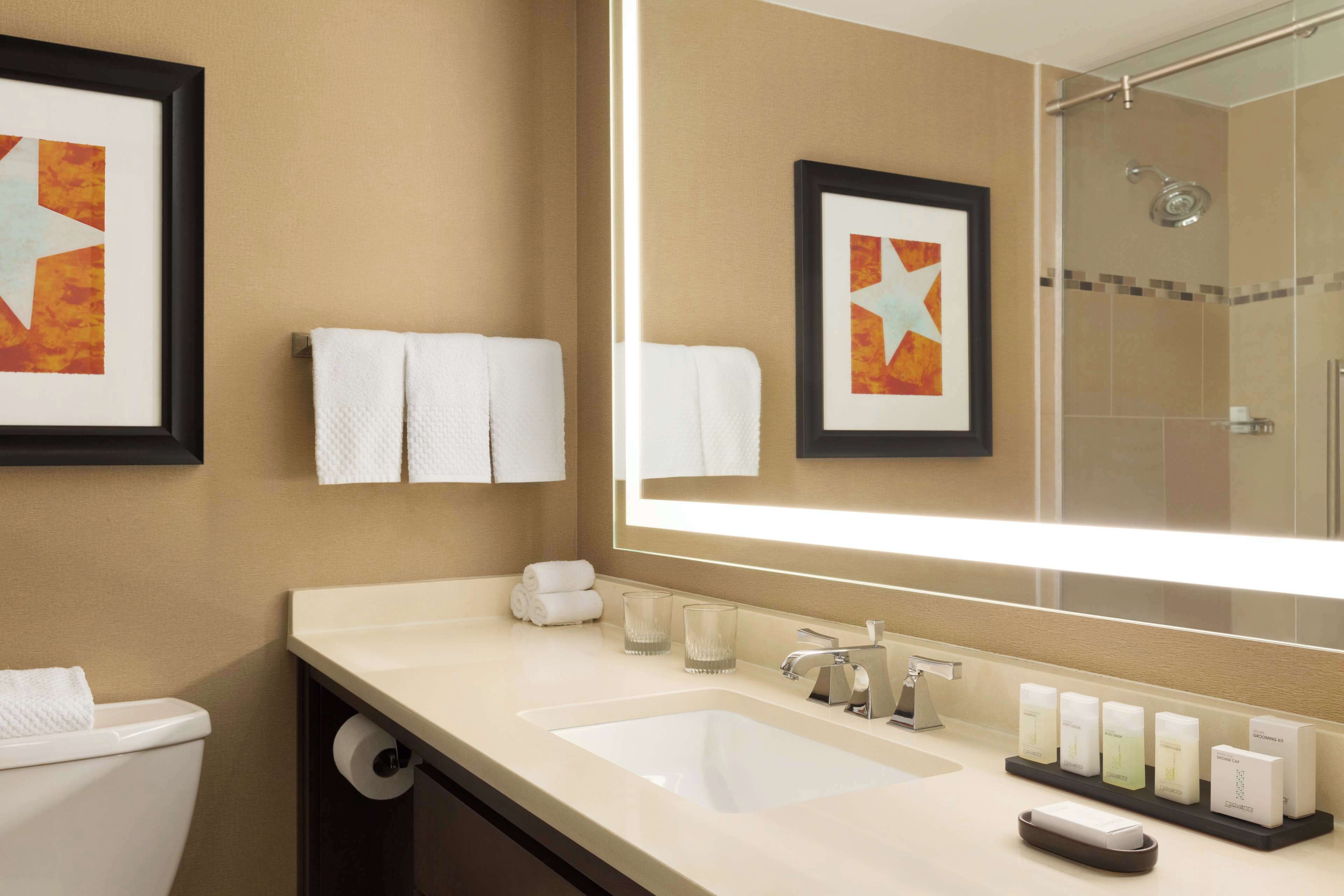 combined shower/bathtub, free toiletries, hair dryer, towels