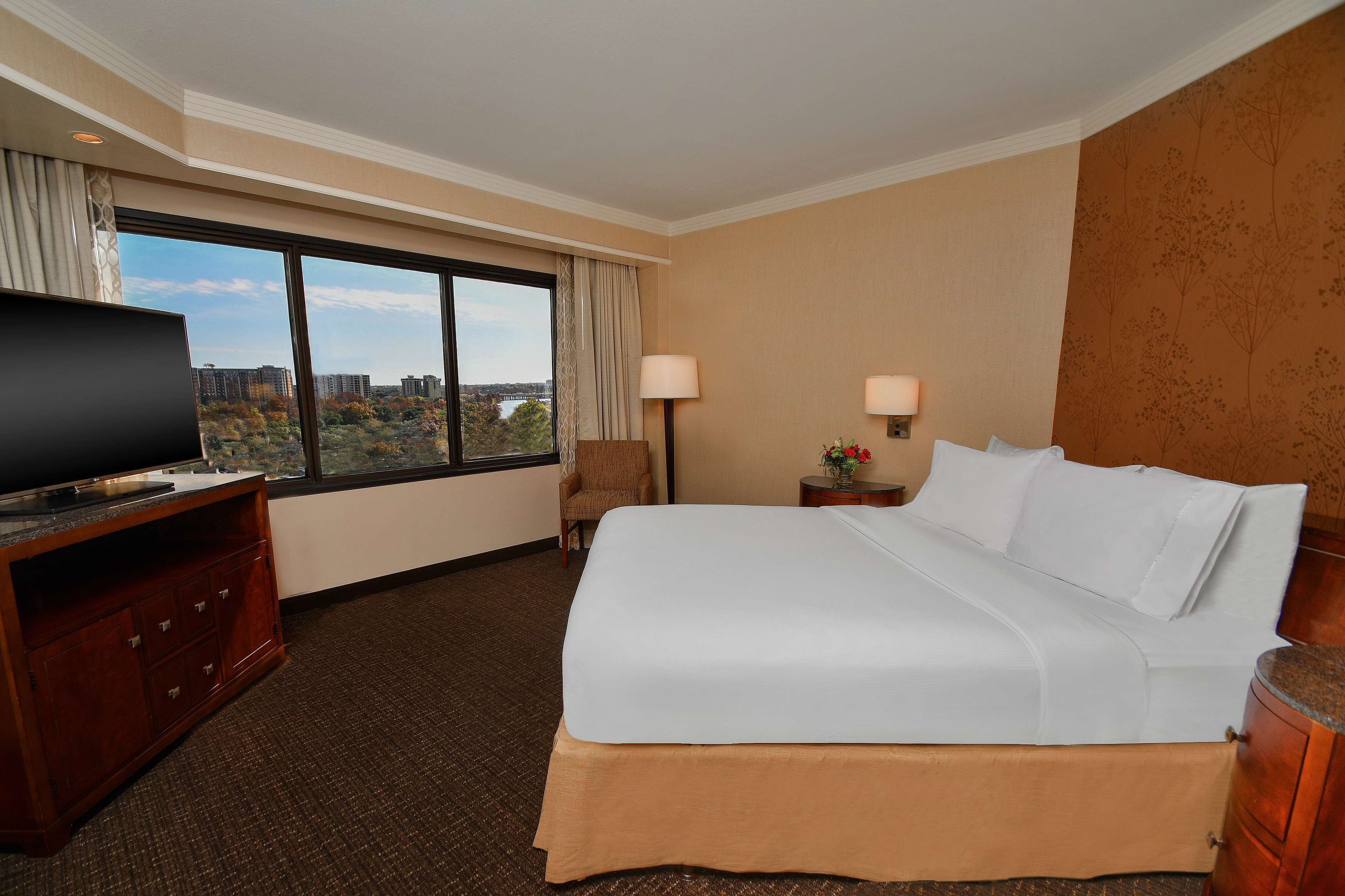 Une chambre d’hôtel avec un grand lit, un téléviseur posé sur une commode en bois, une chaise, une table de chevet avec une lampe et une fenêtre donnant sur des immeubles et des arbres.