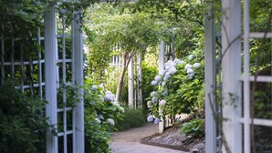 A garden pathway with a white pergola and hydrangea bushes.
