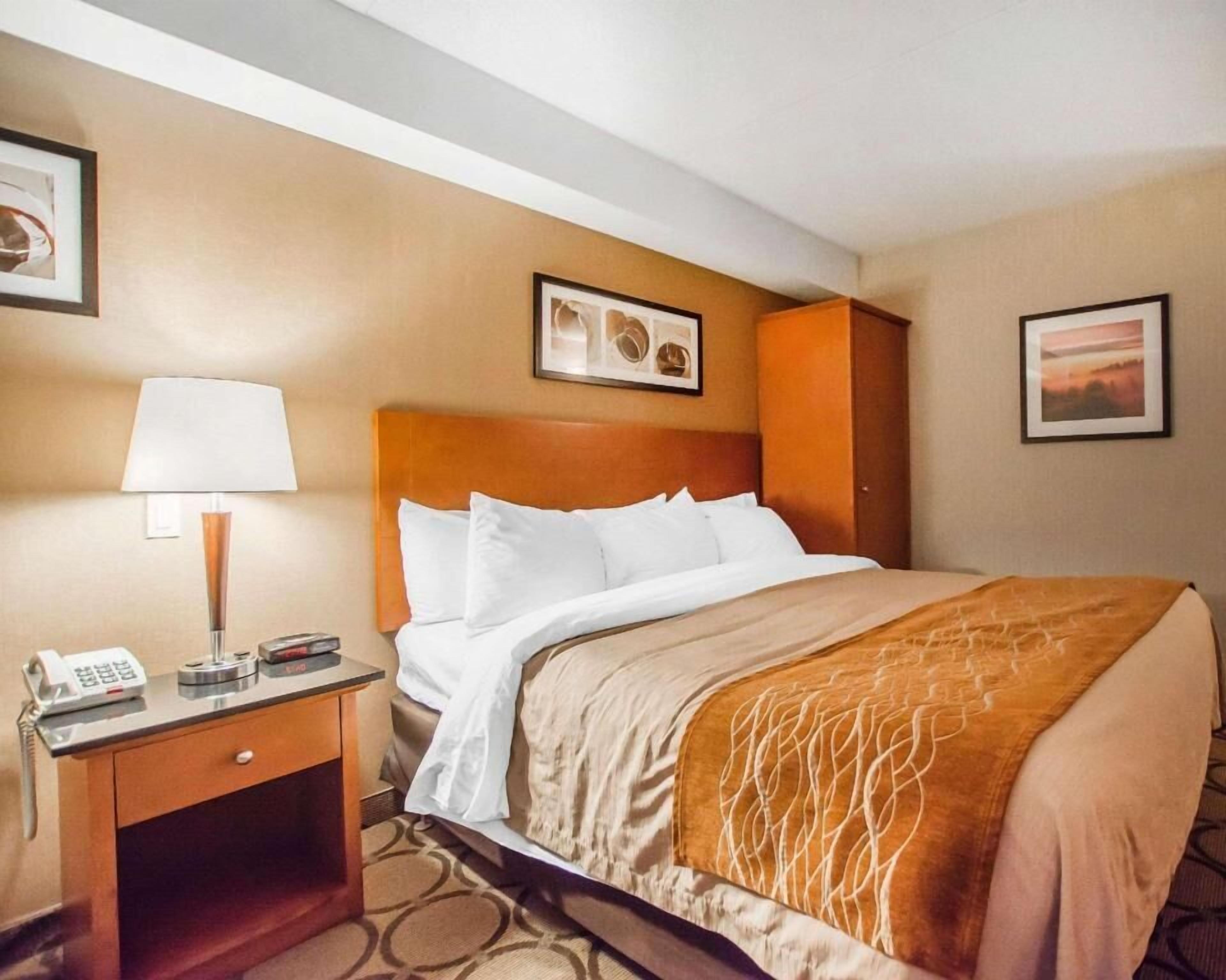 Premium bedding, desk, blackout curtains, iron/ironing board