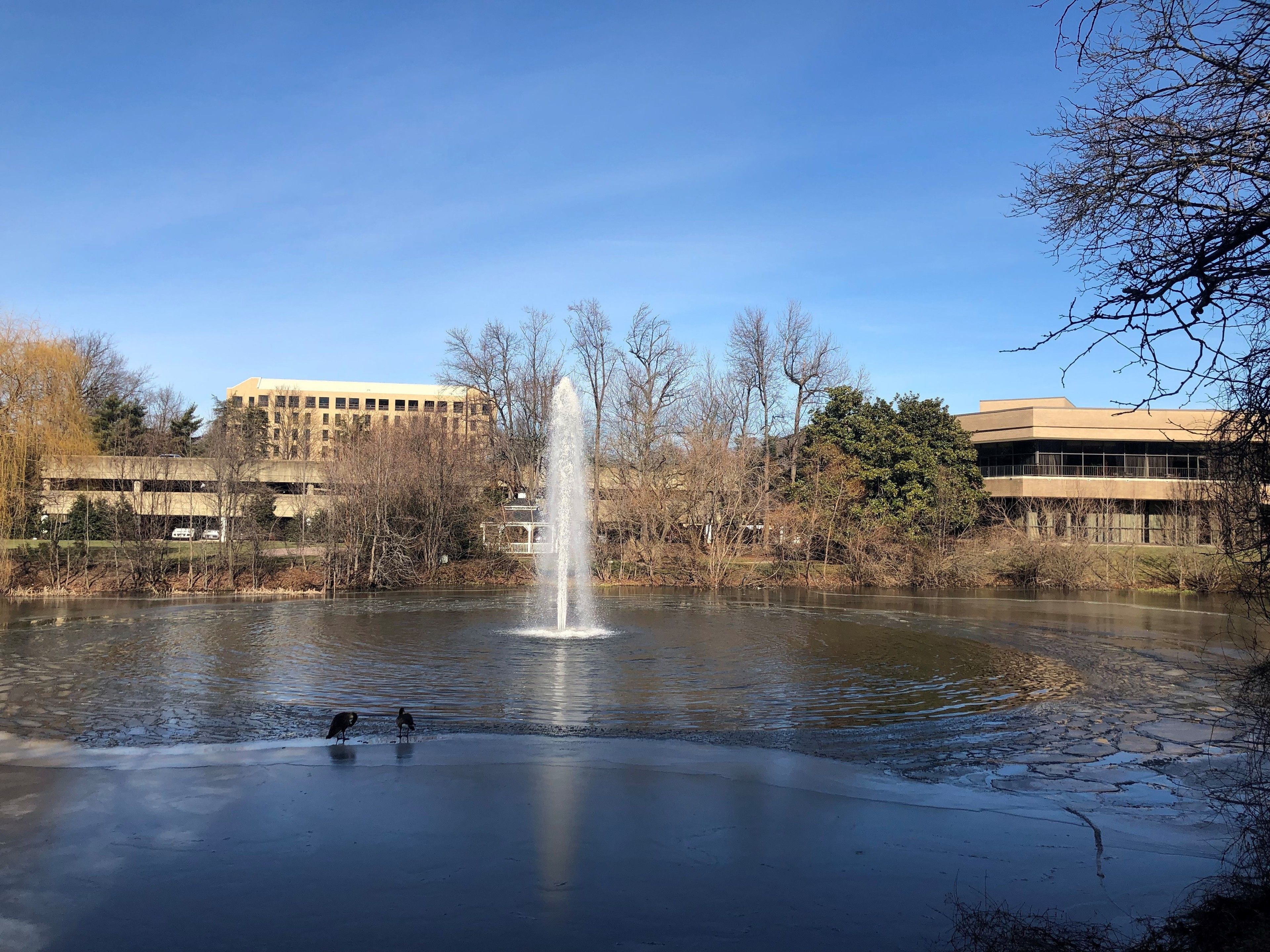Foto - Hilton Alexandria Mark Center