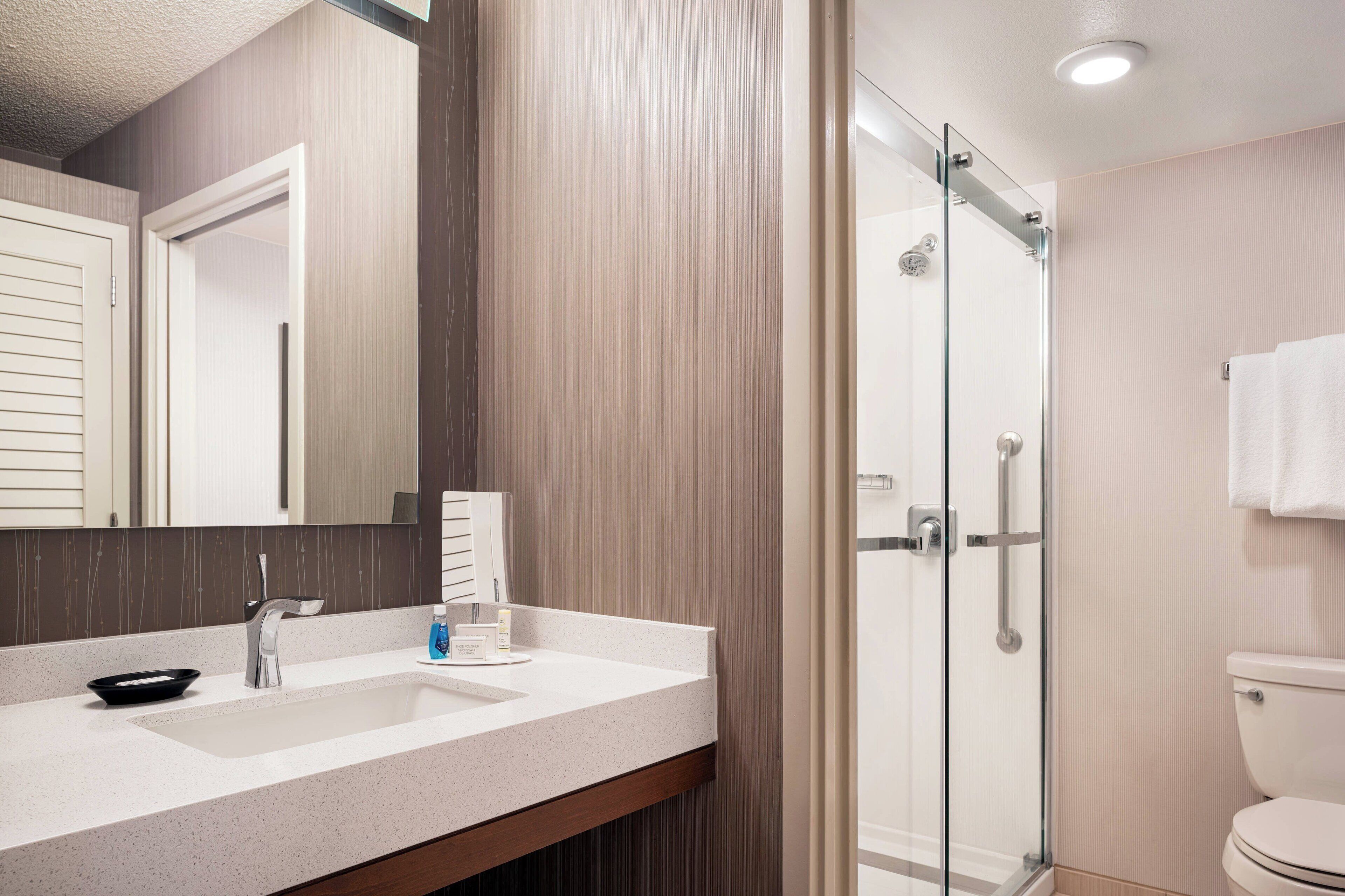 combined shower/bathtub, free toiletries, hair dryer, towels