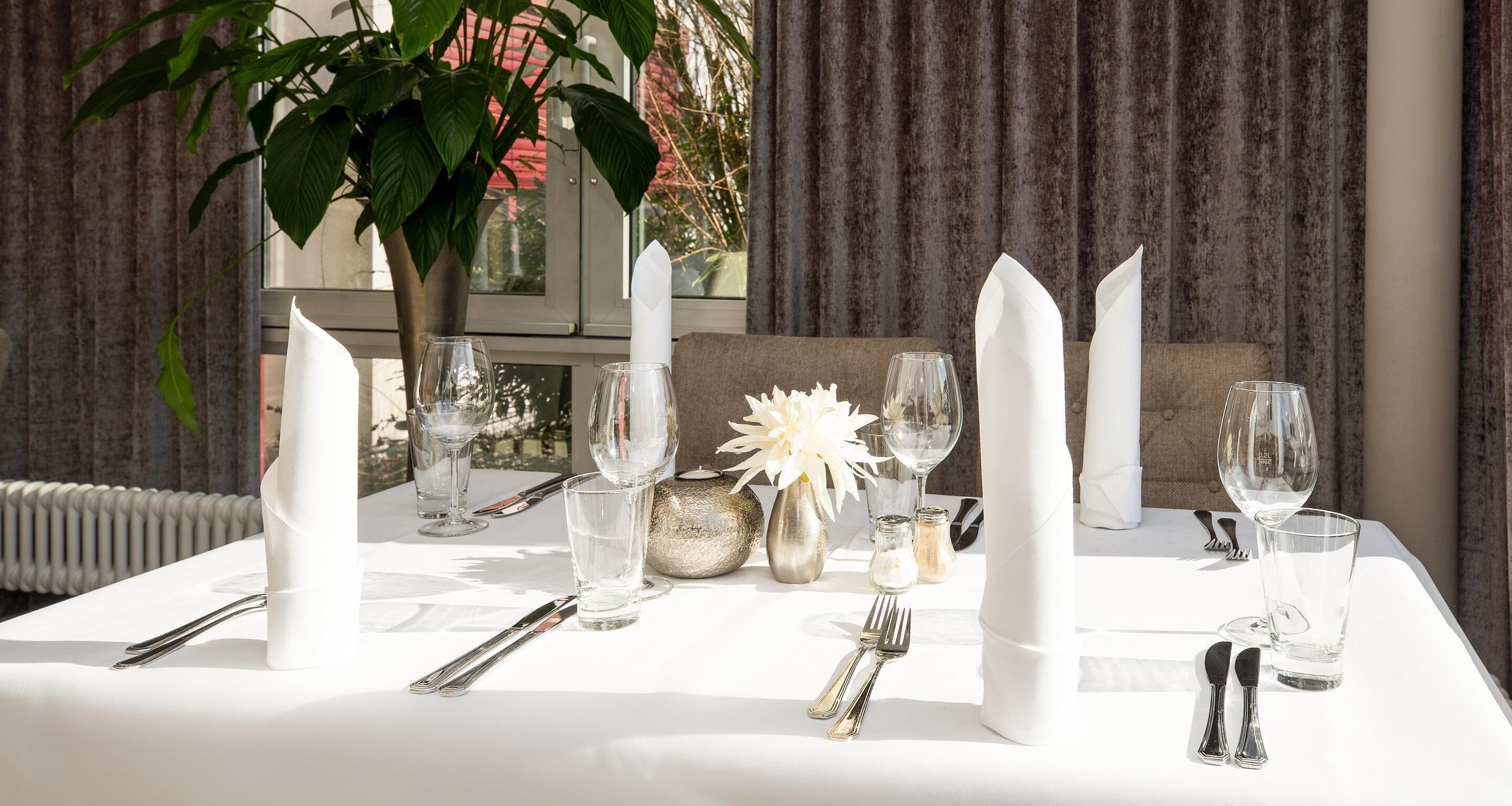 dinner served, american cuisine, garden views