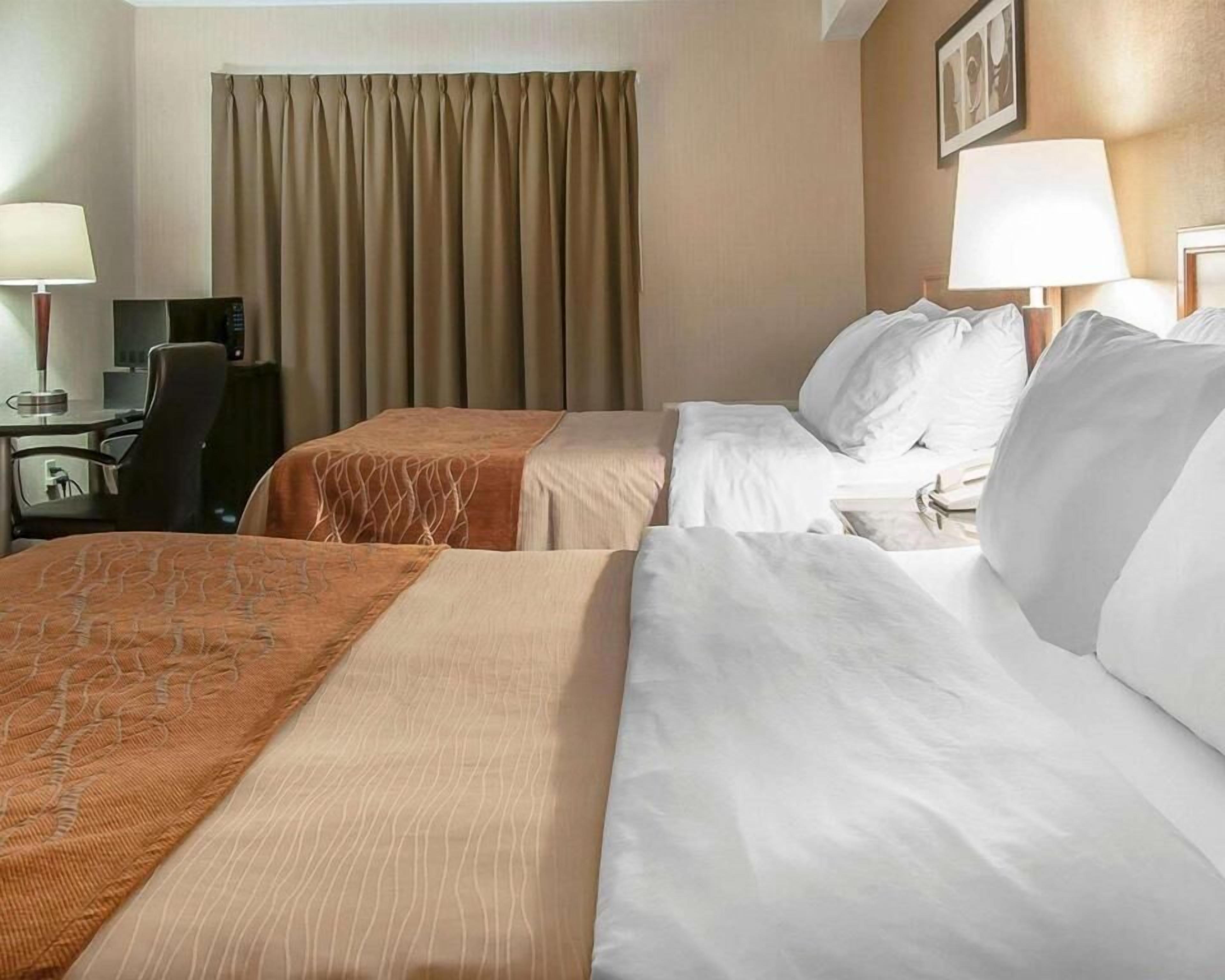 Premium bedding, pillow-top beds, individually furnished, desk