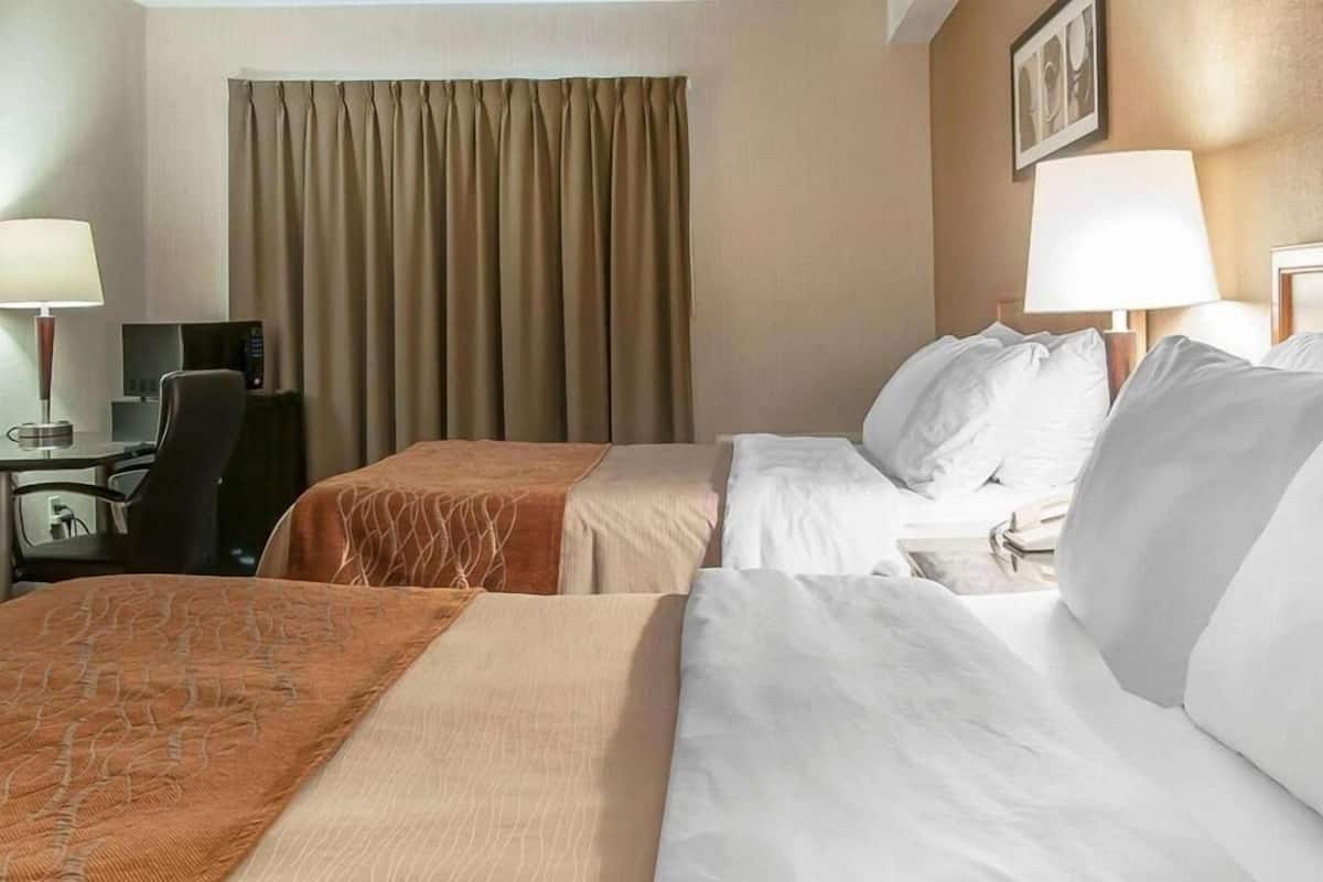 Premium bedding, pillowtop beds, individually furnished, desk