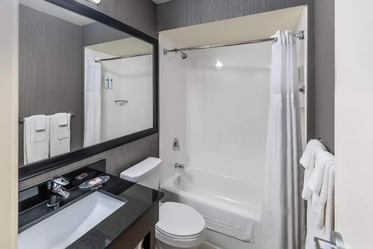 Bathroom | Combined shower/tub, free toiletries, hair dryer, towels