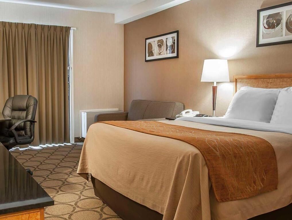 Premium bedding, pillow-top beds, individually furnished, desk