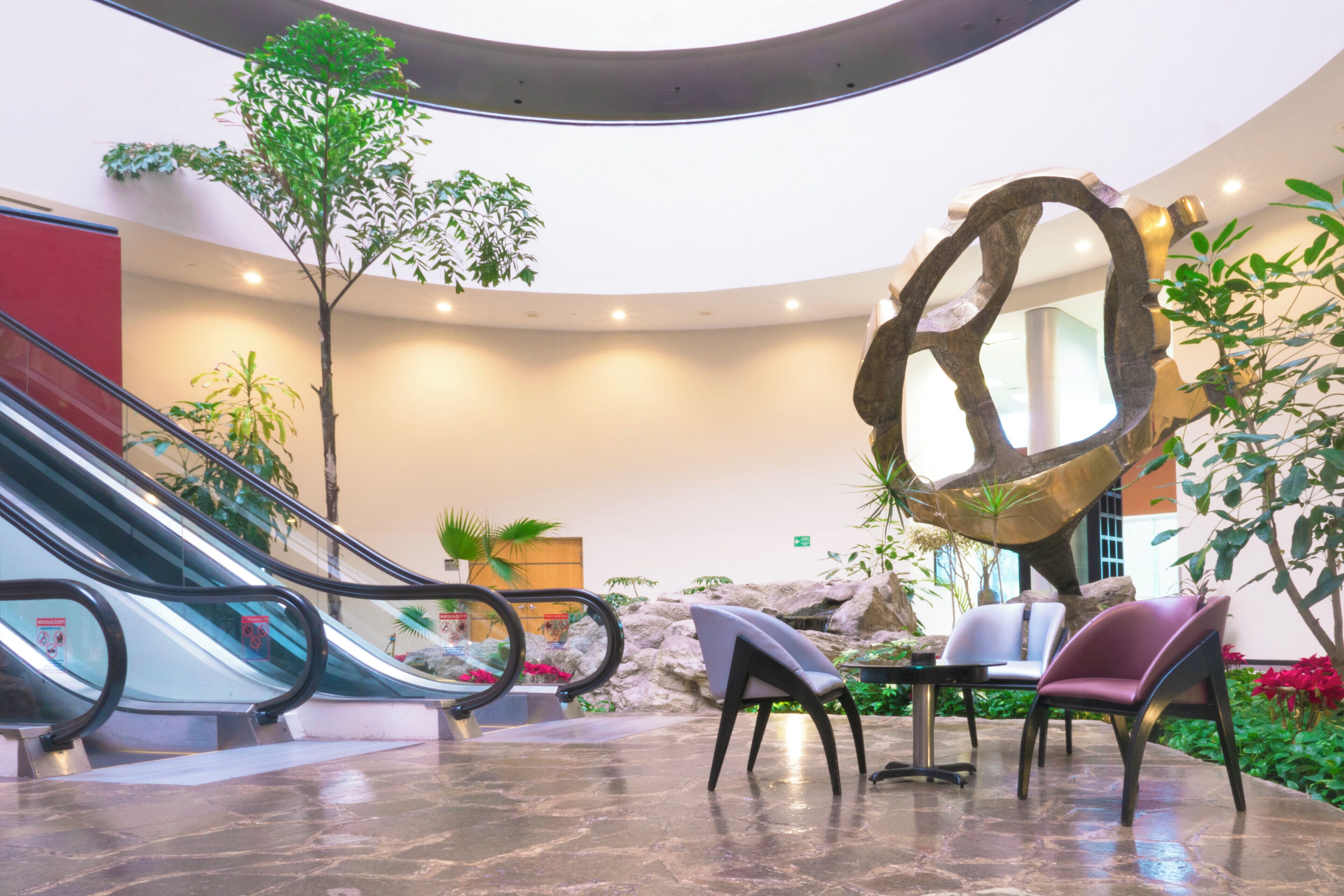 Vestíbulo con una escalera mecánica, zona de estar y plantas de interior.