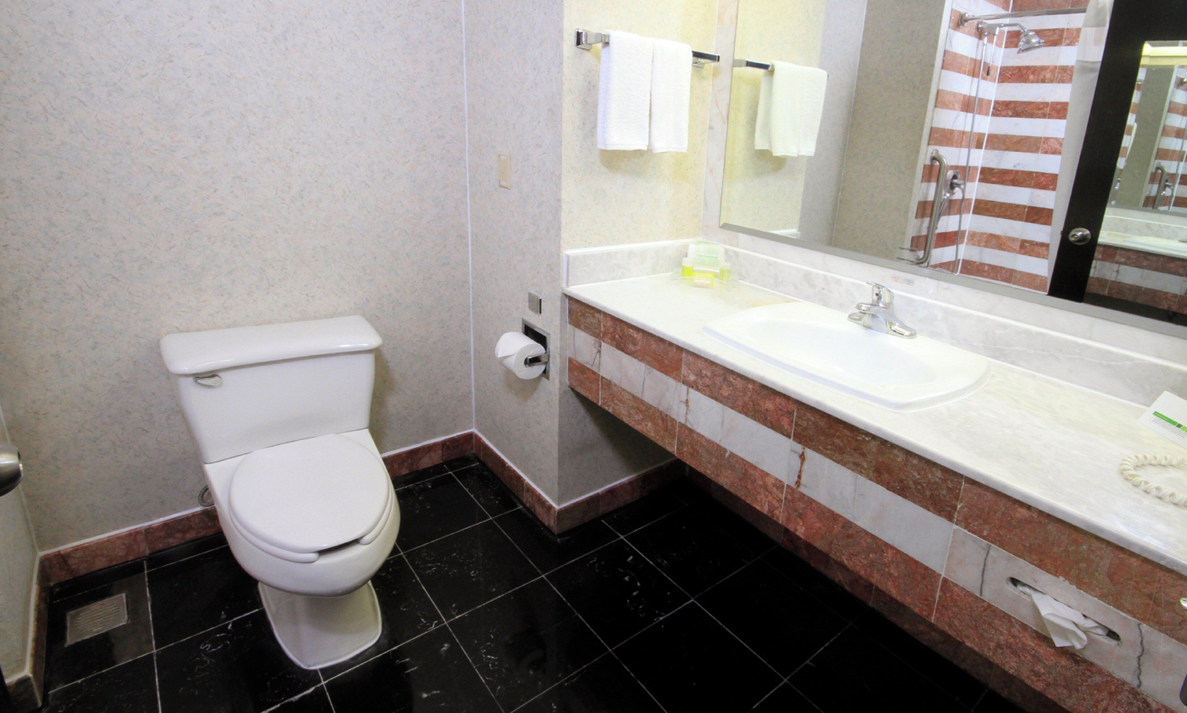 A bathroom with a toilet, sink, and mirror.