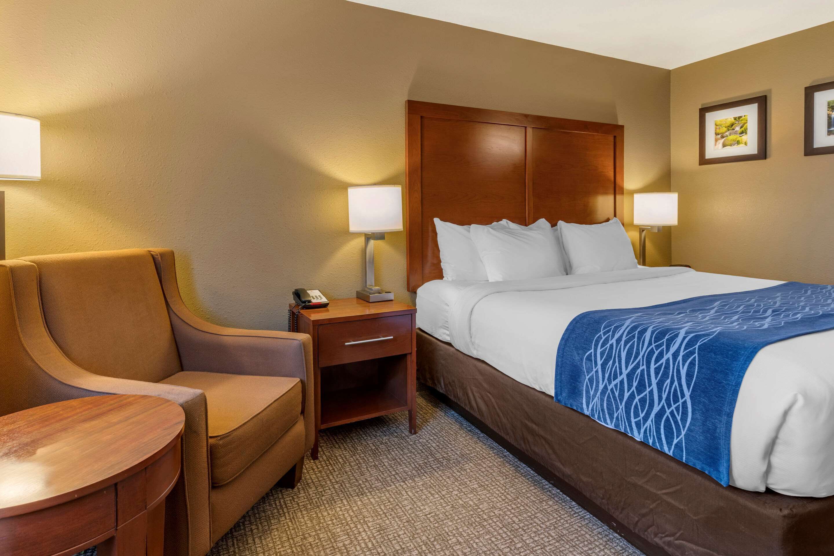 Quarto de hotel com cama, uma cadeira, mesa de cabeceira e duas luminárias fixadas na parede.