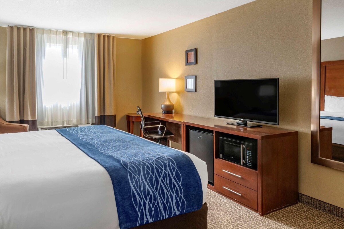 Una habitación de hotel con cama, escritorio con televisor, lámpara y minibar.