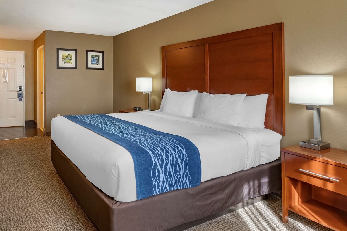 Room, 1 King Bed, Non Smoking (Upgrade) | Egyptian cotton sheets, pillowtop beds, desk, laptop workspace