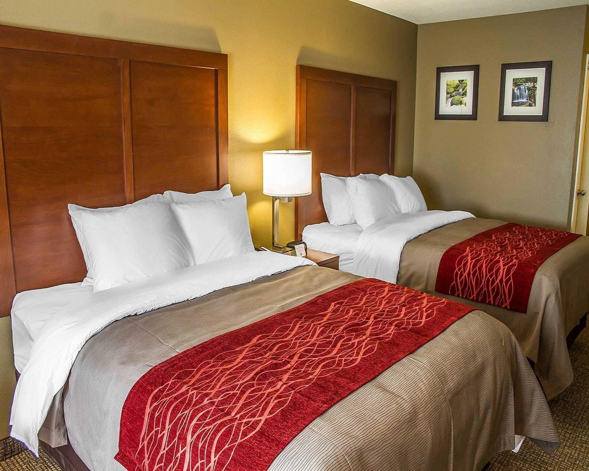 A hotel room with two beds, a wooden headboard, a nightstand with a lamp, and two framed pictures on the wall.