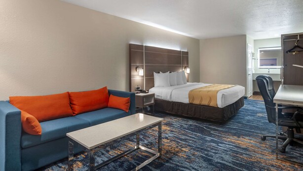A hotel room with a bed, a sofa, a desk, and a chair.