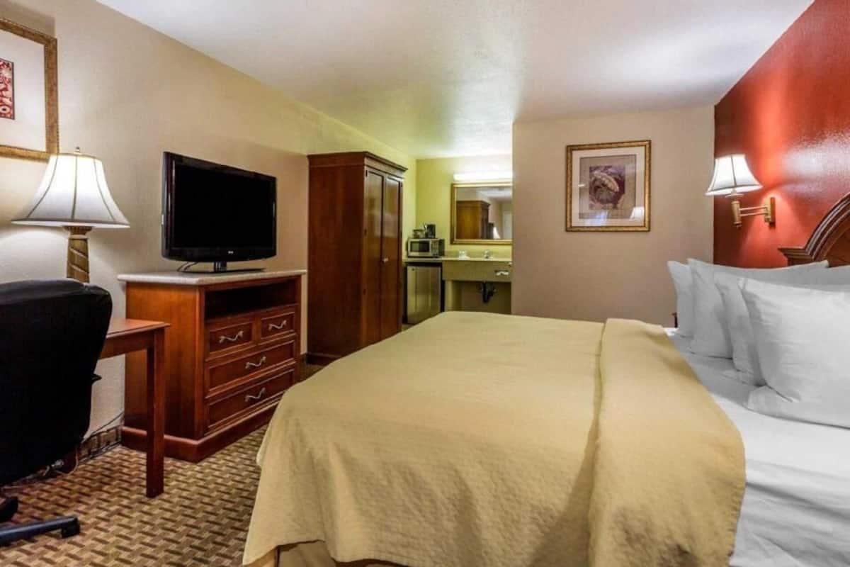 Down comforters, blackout drapes, iron/ironing board, free WiFi