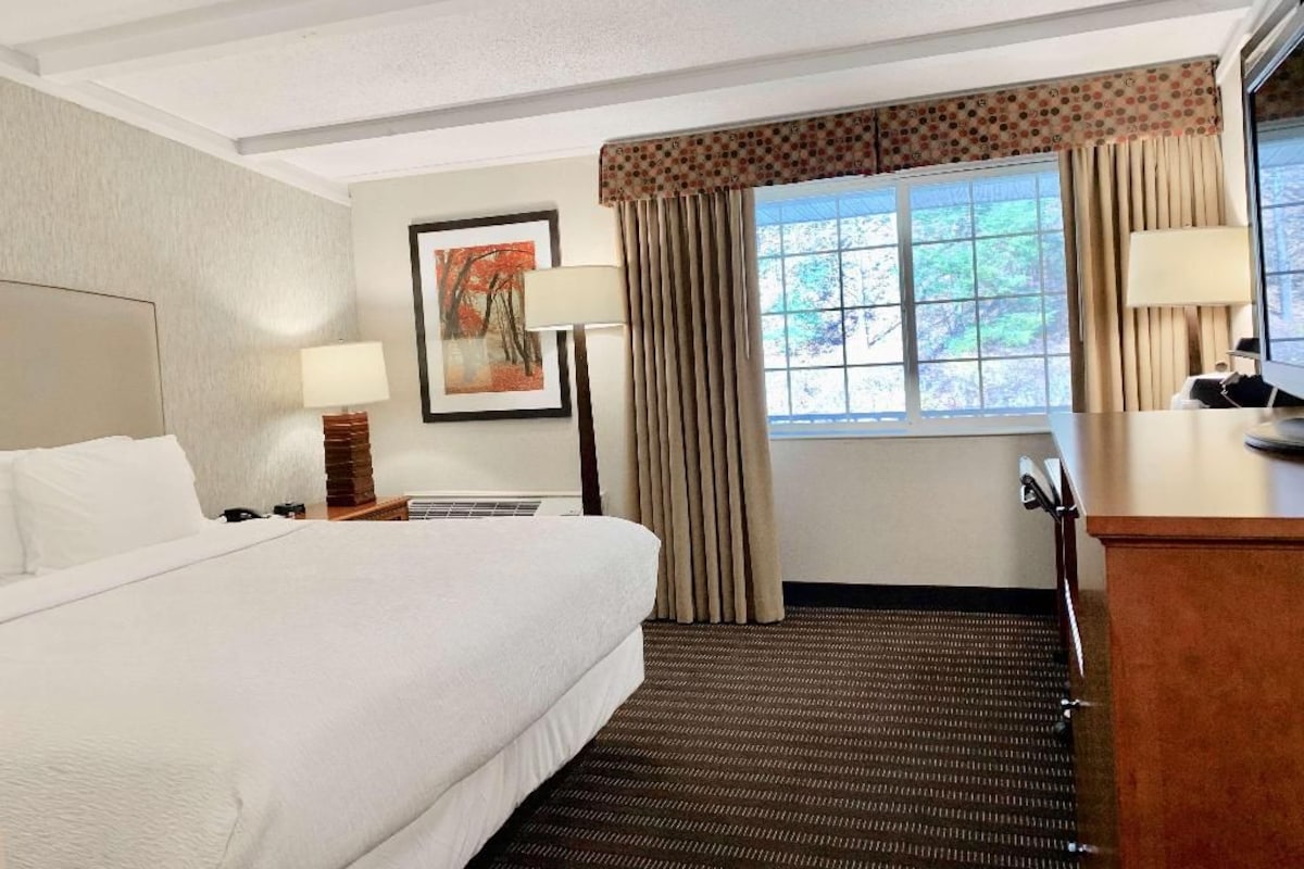 Habitación de hotel con una cama grande, dos lámparas de noche, una ventana con cortinas, un cuadro en la pared y un escritorio con lámpara.