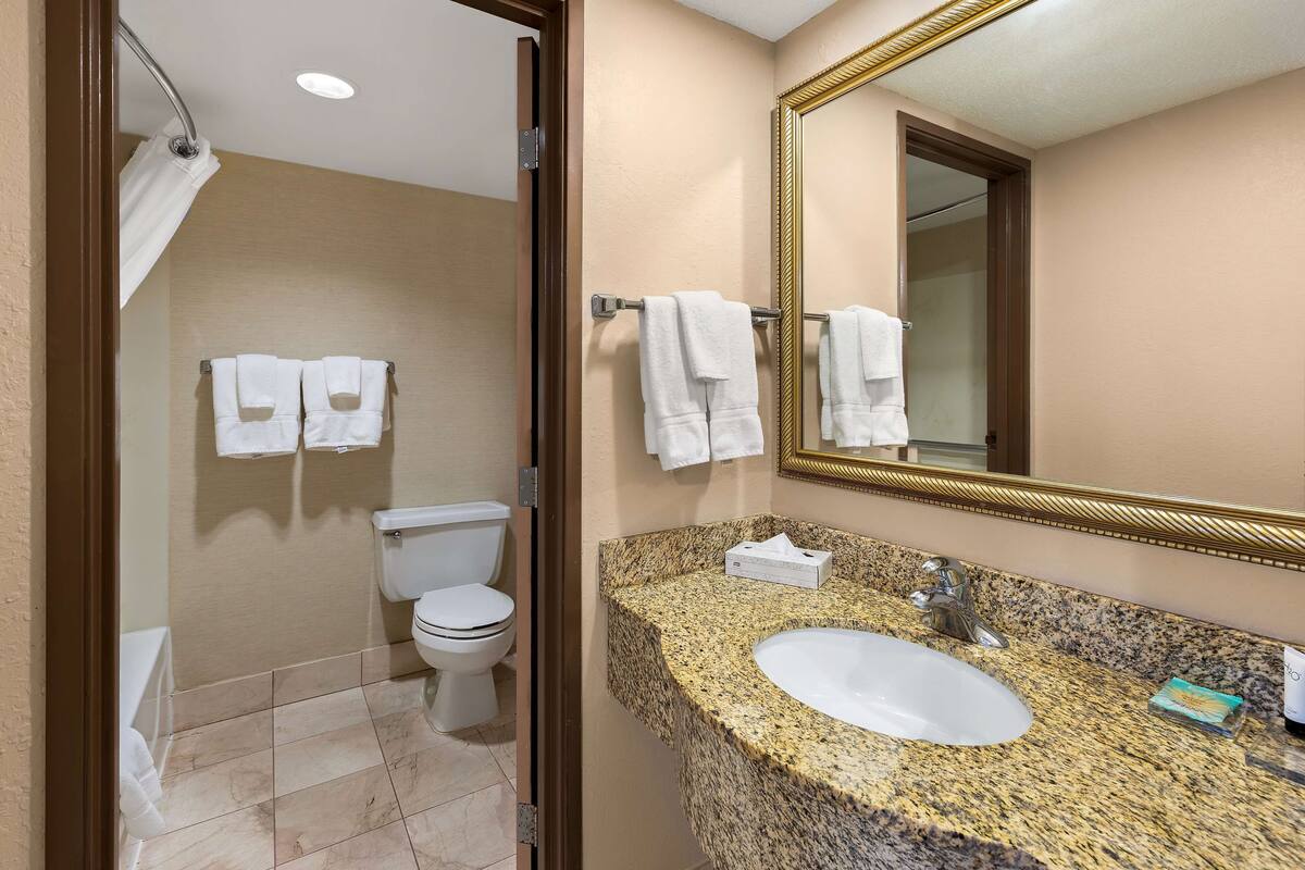 combined shower/bathtub, designer toiletries, hair dryer, towels