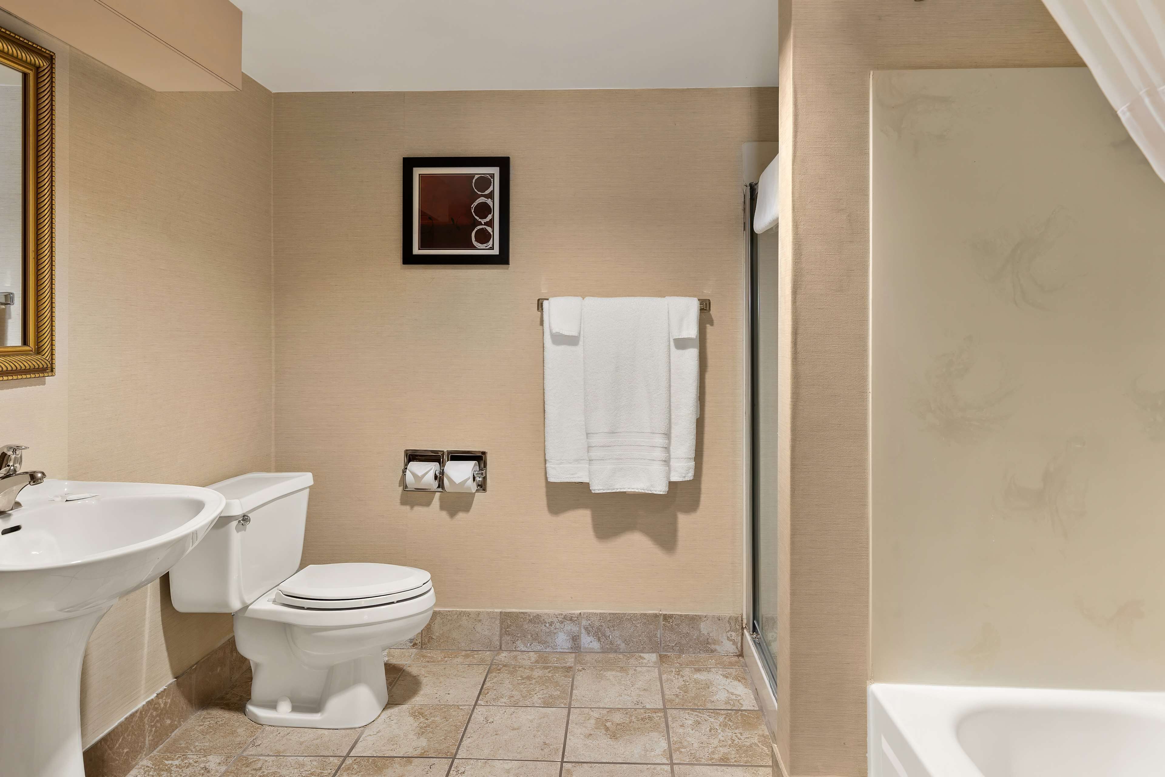 combined shower/bathtub, designer toiletries, hair dryer, towels