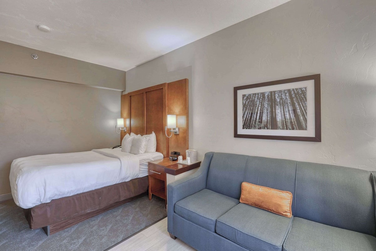 A hotel room with a bed, a sofa, a nightstand, a framed picture on the wall, and a ceiling light.