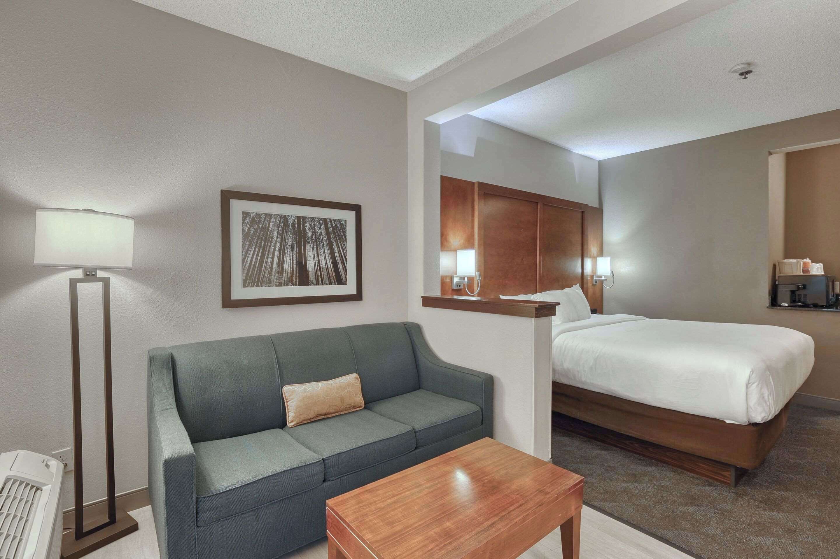 Habitación de hotel con cama, sofá, mesa de centro, lámpara de pie, un cuadro en la pared y mesita de noche con lámpara.
